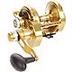 PENN Torque TRQ30LD2 Lever Drag 2-Speed Conventional Reel                                                                        - view number 1 selected