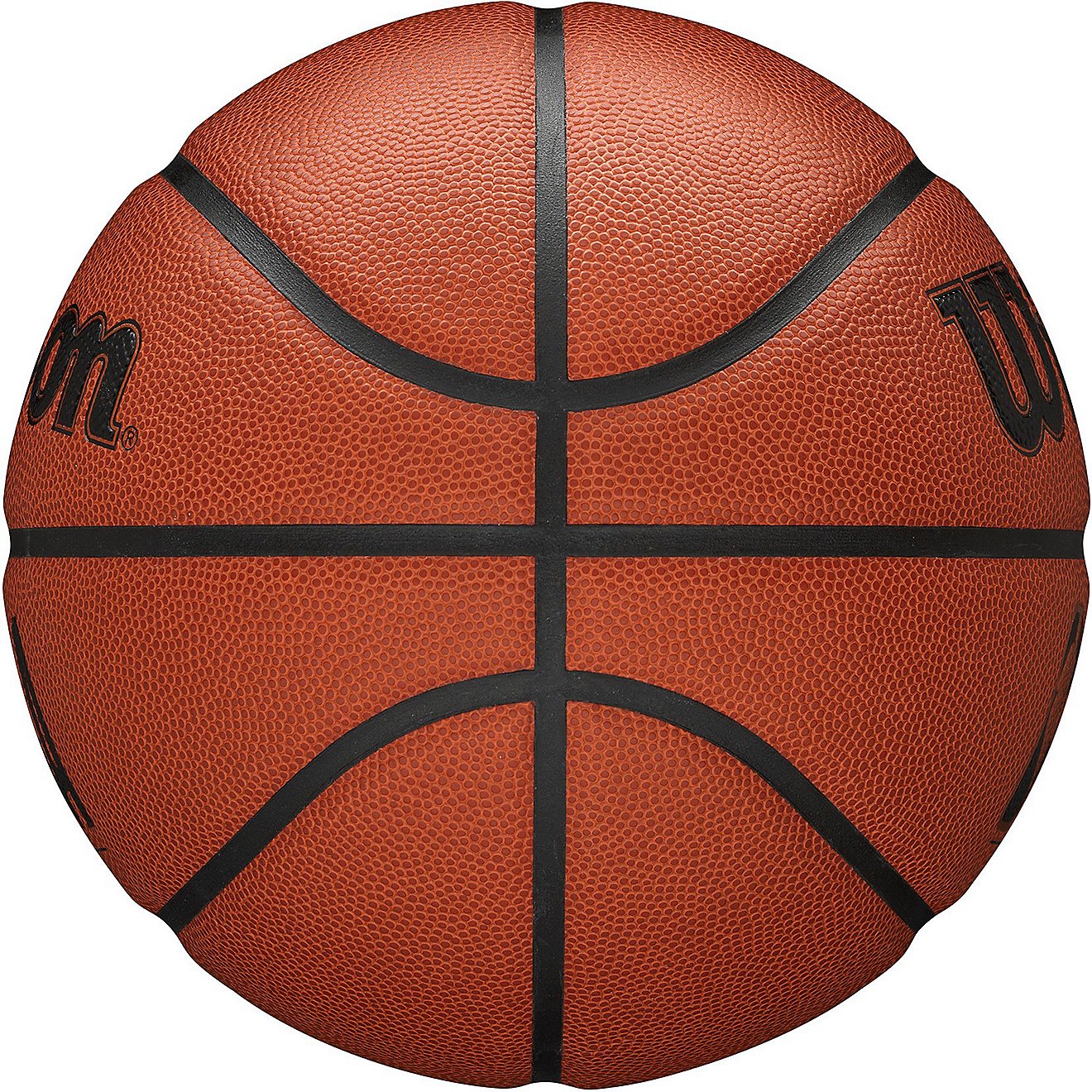 Wilson NBA Forge Series Indoor/Outdoor Basketball                                                                                - view number 4