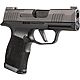SIG SAUER P365X Optic Ready 9mm Semiautomatic Pistol                                                                             - view number 1 selected
