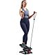 Sunny Health & Fitness Total Body Smart Exercise Mini Stepper Machine                                                            - view number 1 selected