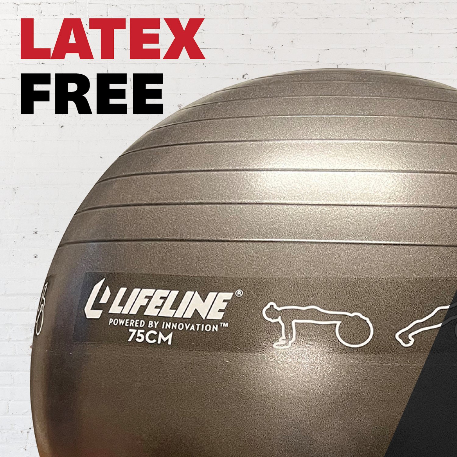Lifeline 65 cm Exercise Ball                                                                                                     - view number 6