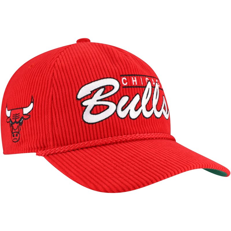 '47 Chicago Bulls D… - image