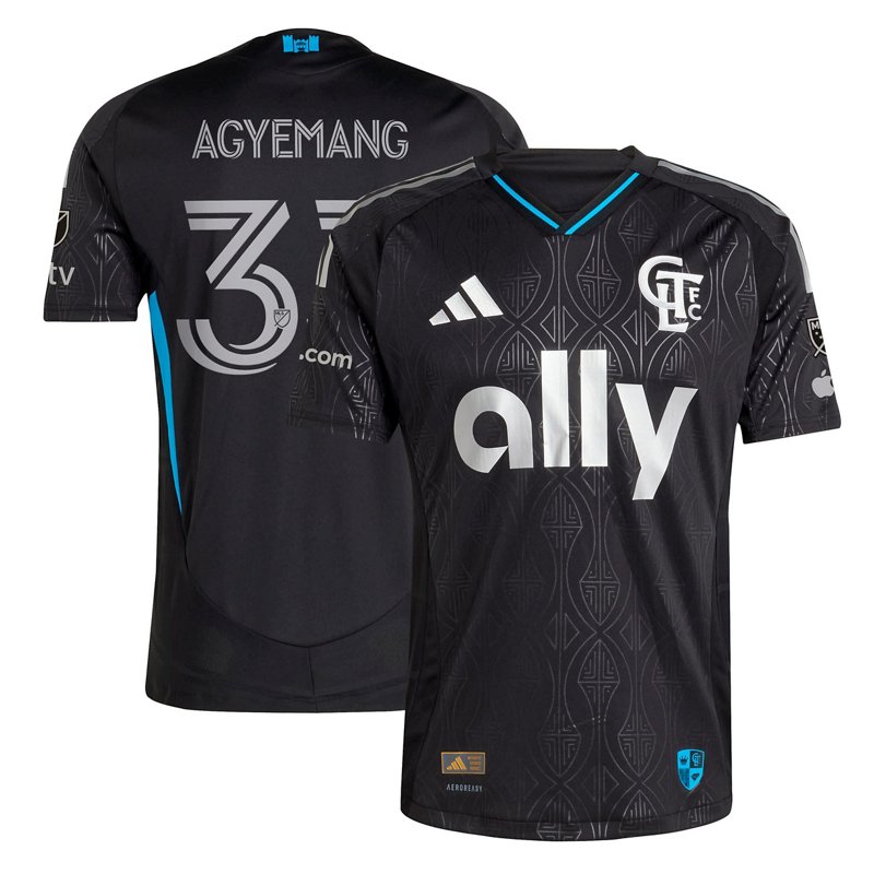 Adidas Patrick Agye… - image