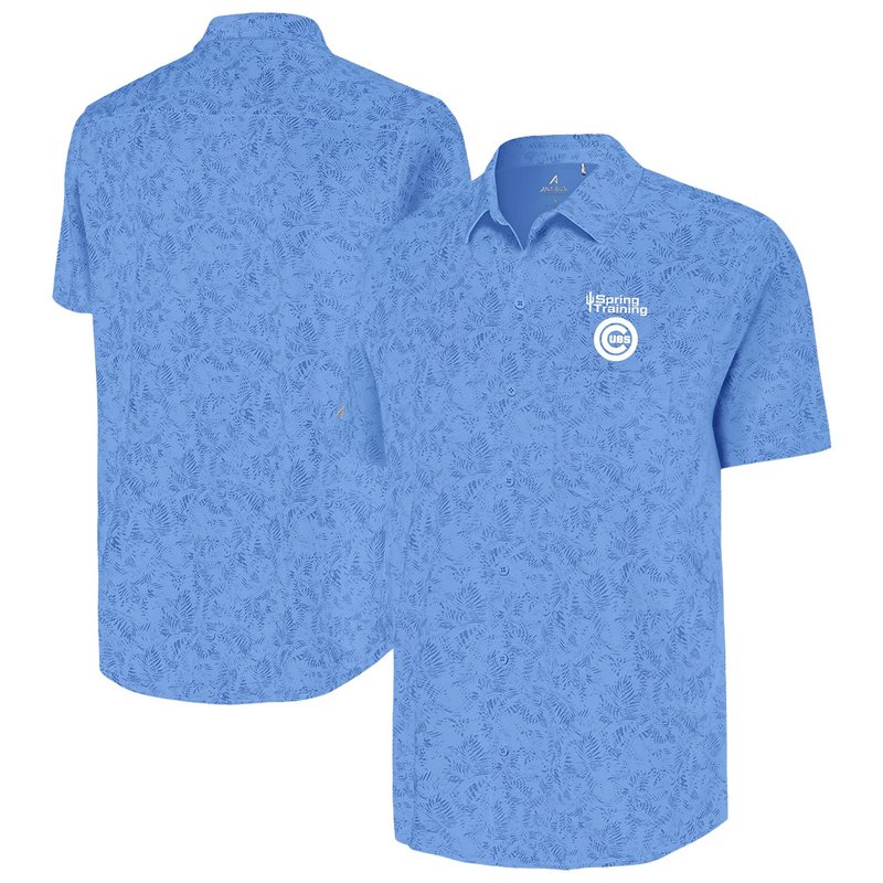 Antigua Chicago Cub… - image