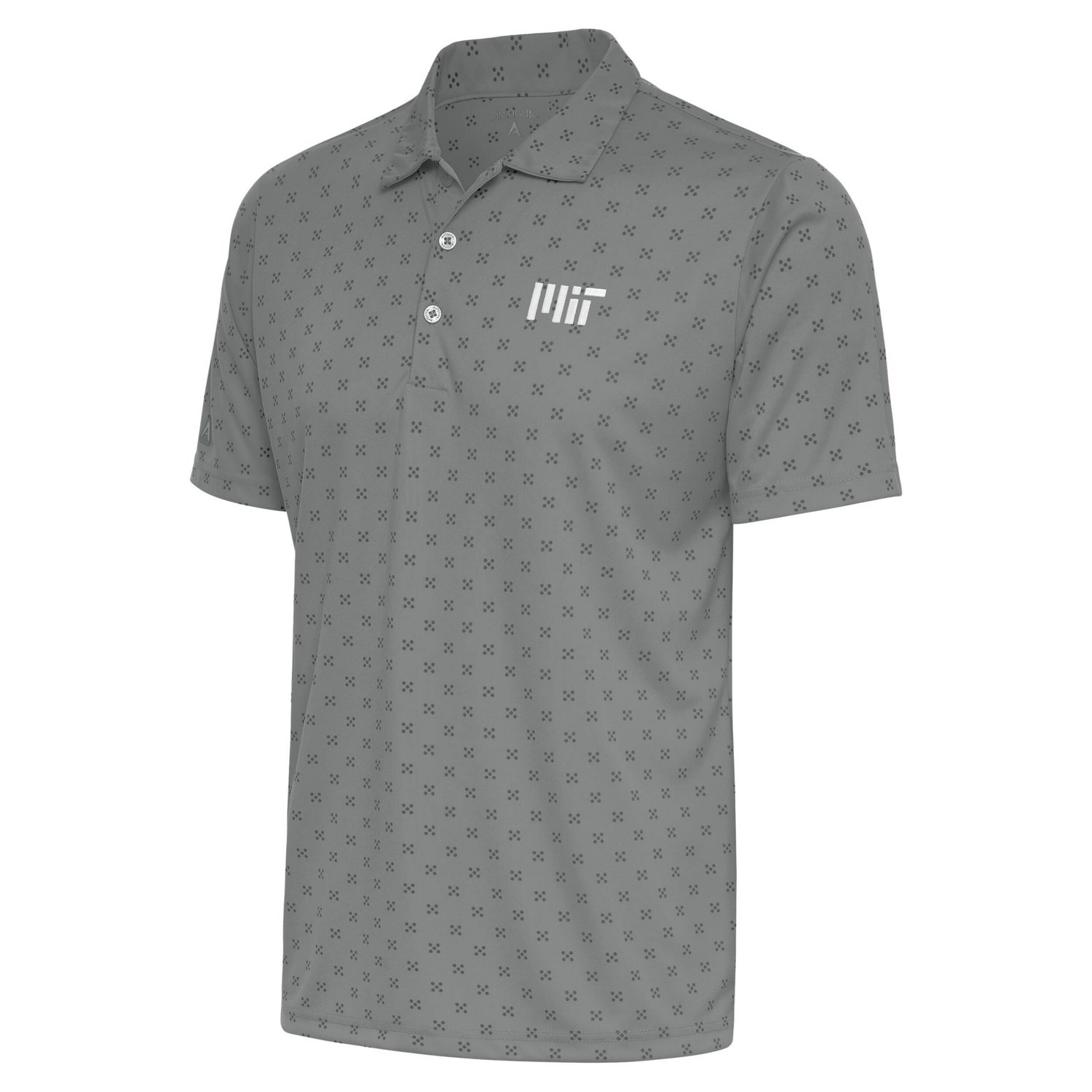 Antigua MIT Engineers Spark Polo