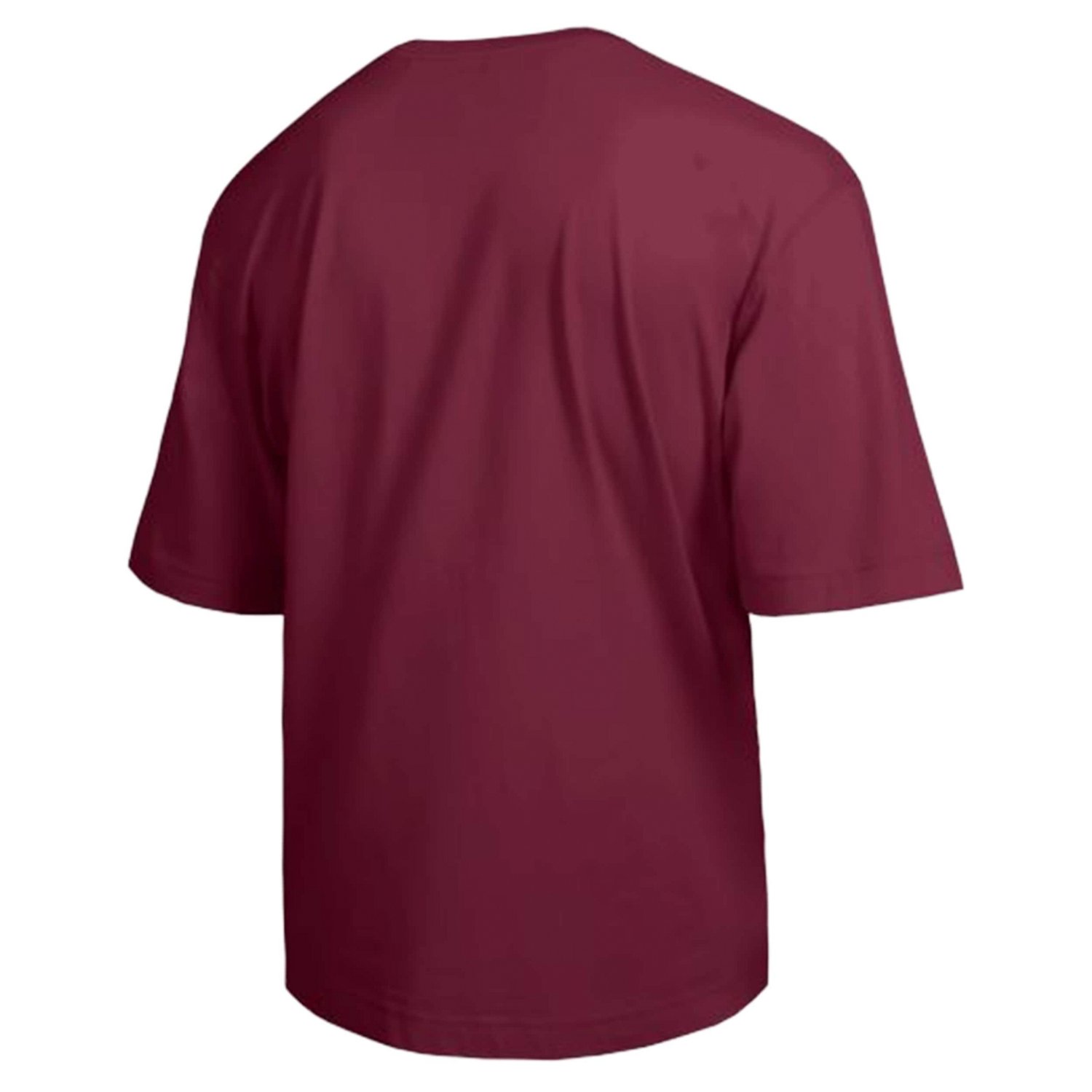 Champion South Carolina Gamecocks Scholar All-Star T-Shirt - view number 3