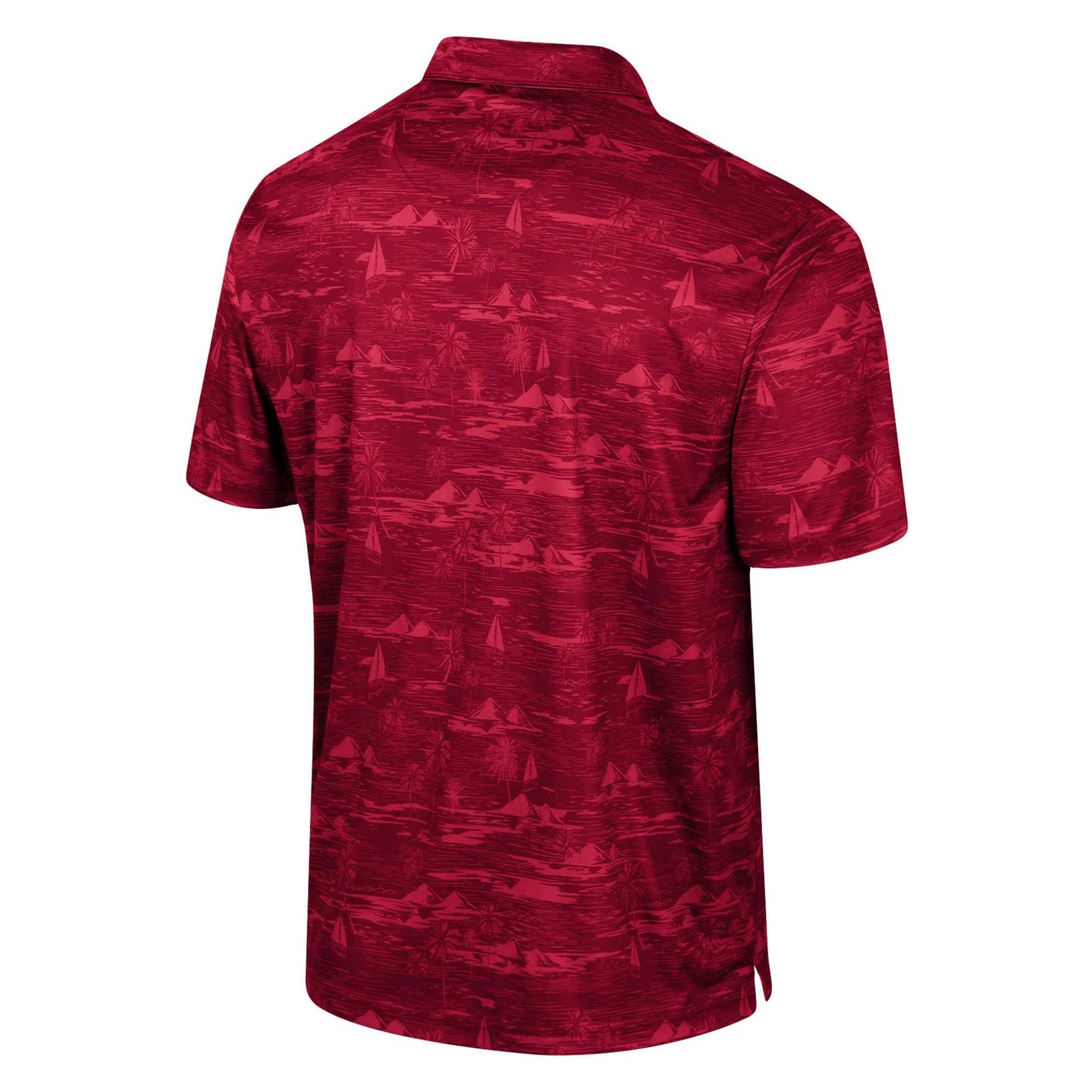 Colosseum Iowa State Cyclones Daly Print Polo - view number 3