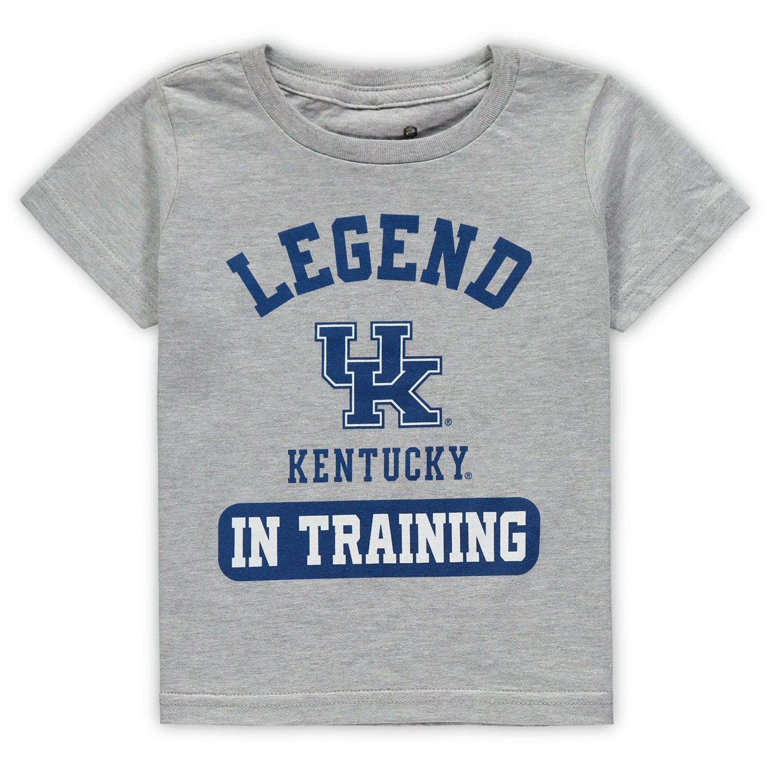 Heathered Gray Kentucky Wildcats Legend Trainer T-Shirt