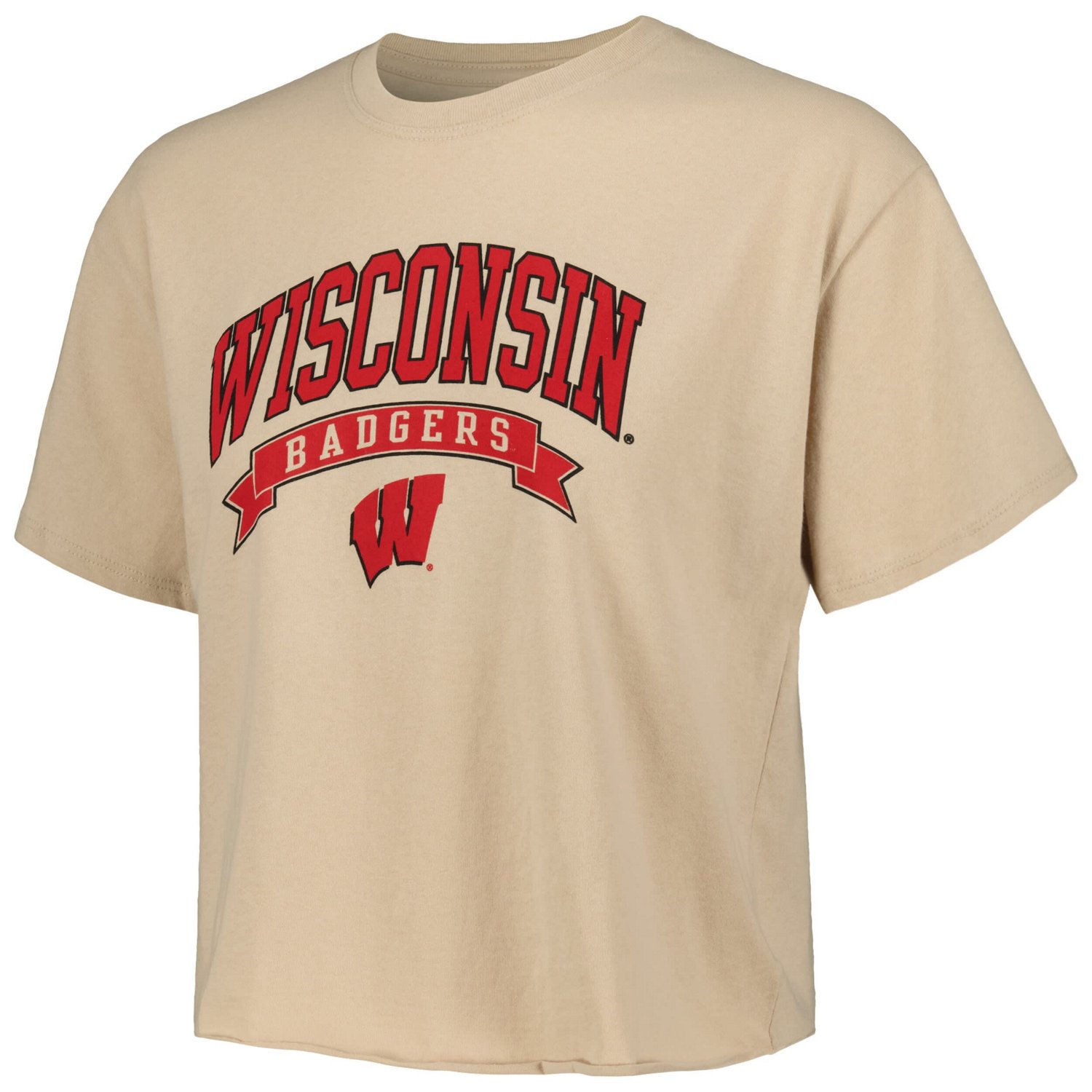 League Collegiate Wear Wisconsin Badgers Banner Clothesline Cropped T-Shirt