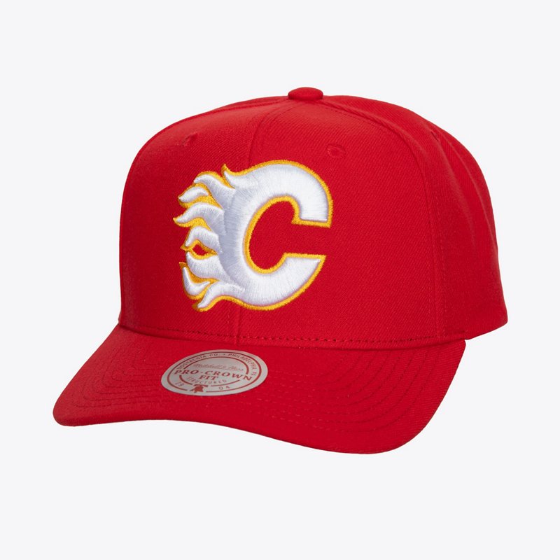 Mitchell Ness Calga… - image