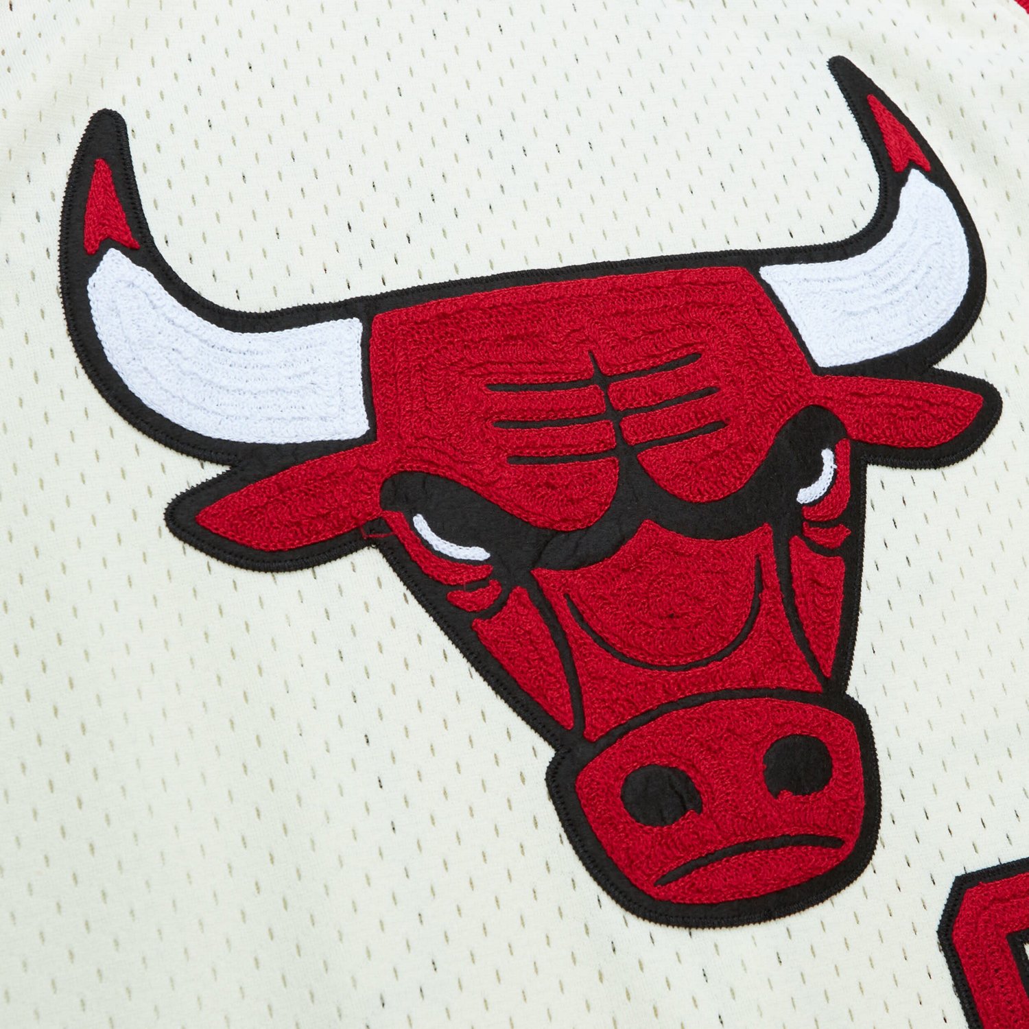 Mitchell  Ness Dennis Rodman Chicago Bulls Chainstitch Swingman Jersey