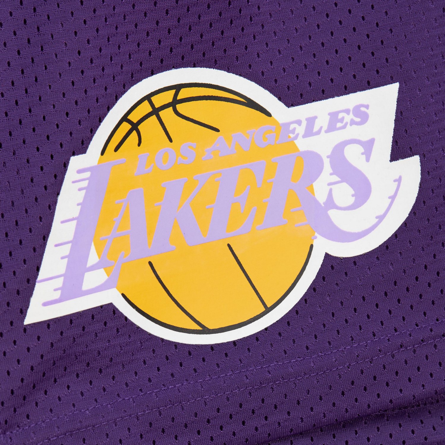 Mitchell  Ness Los Angeles Lakers Hardwood Classics Gameday Mesh Shorts