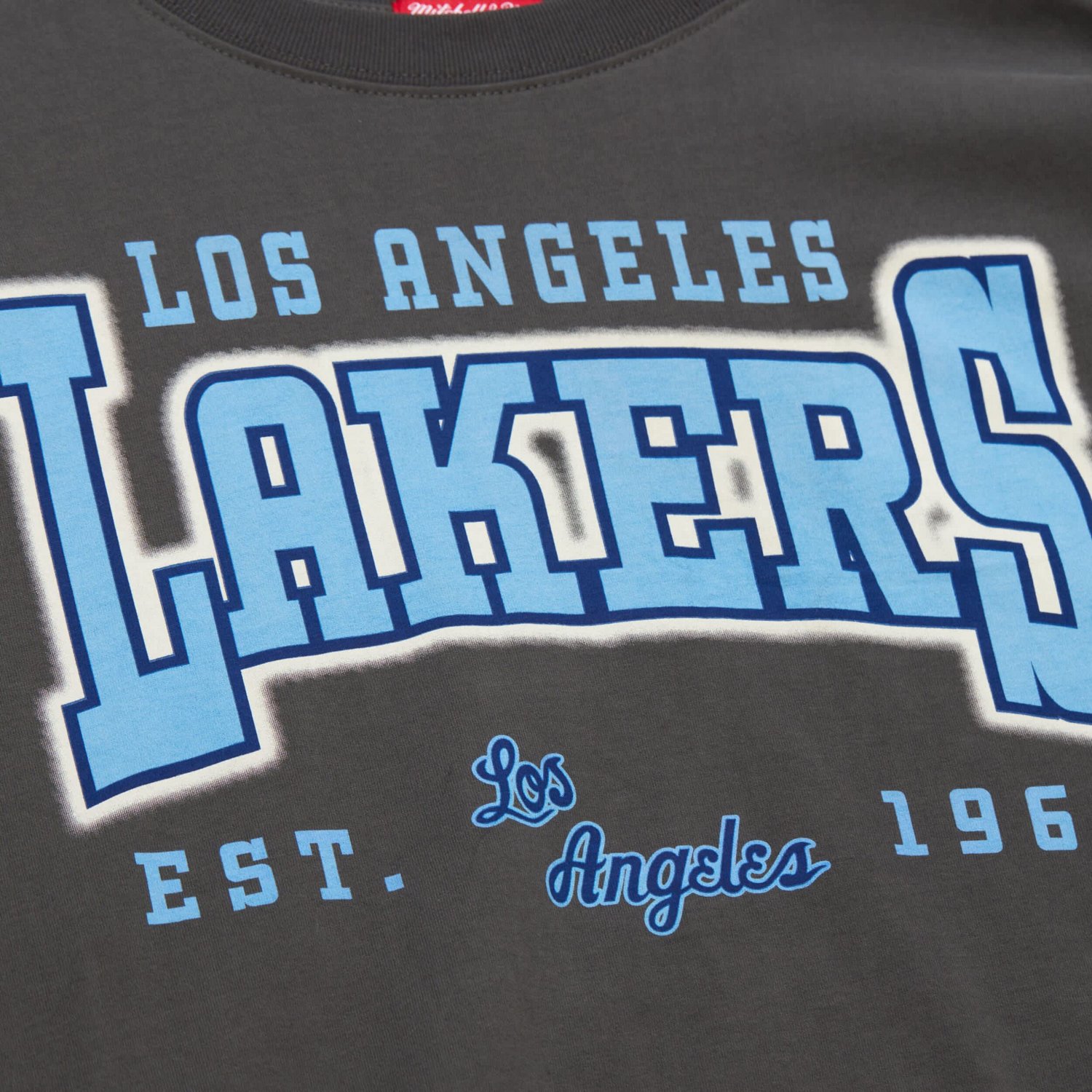 Mitchell  Ness Los Angeles Lakers Hardwood Classics Oversized Boyfriend T-Shirt                                                  - view number 4