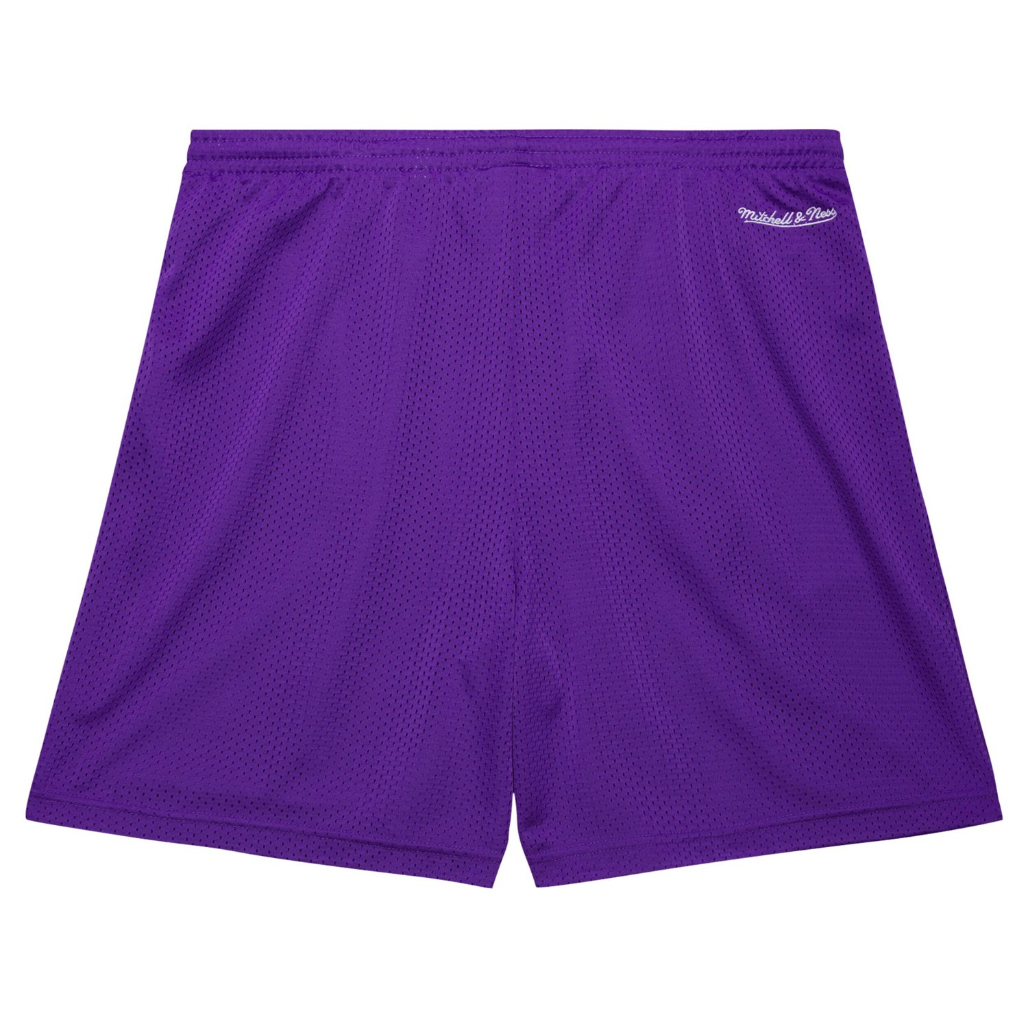 Mitchell  Ness Toronto Raptors Hardwood Classics Gameday Mesh Shorts - view number 3