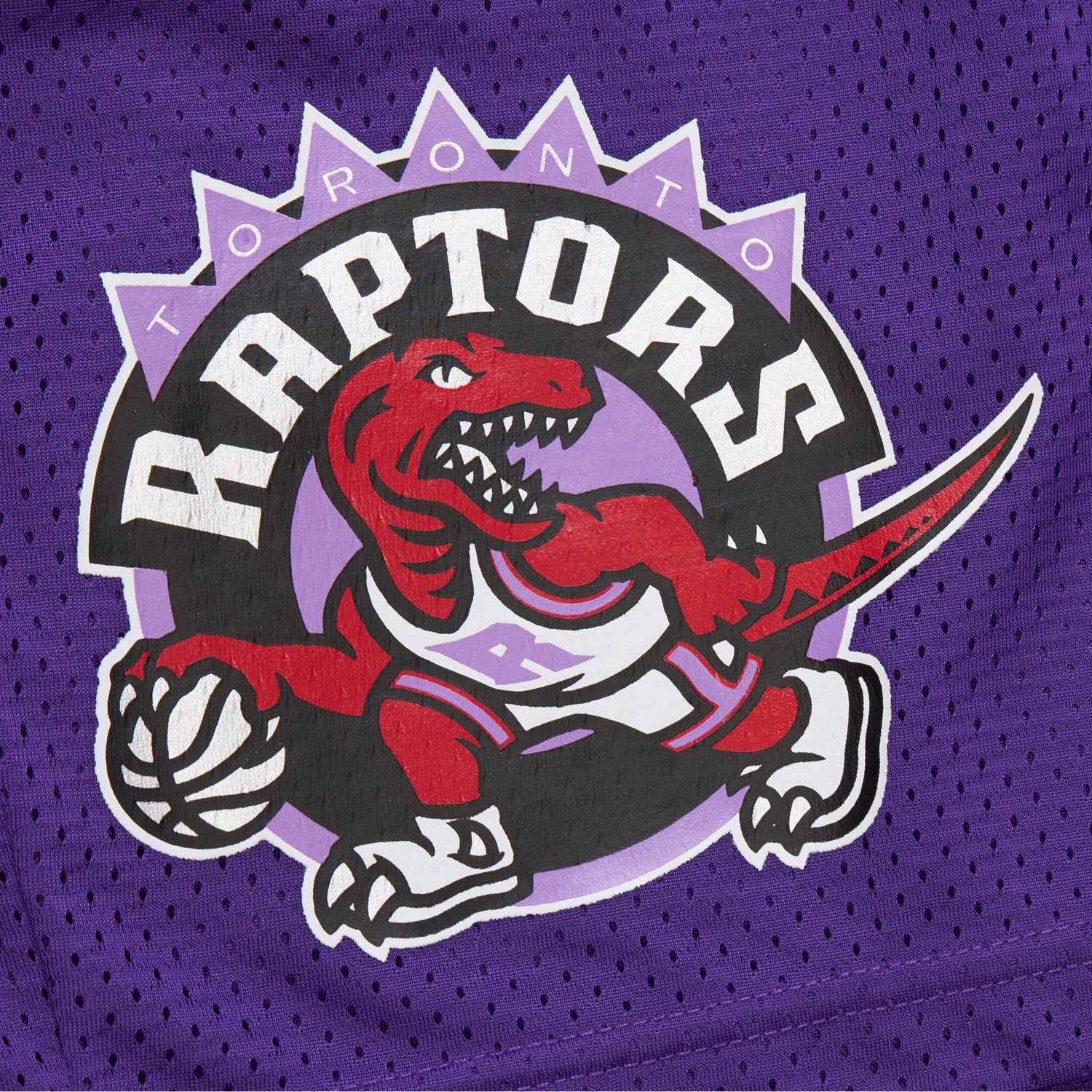 Mitchell  Ness Toronto Raptors Hardwood Classics Gameday Mesh Shorts - view number 4