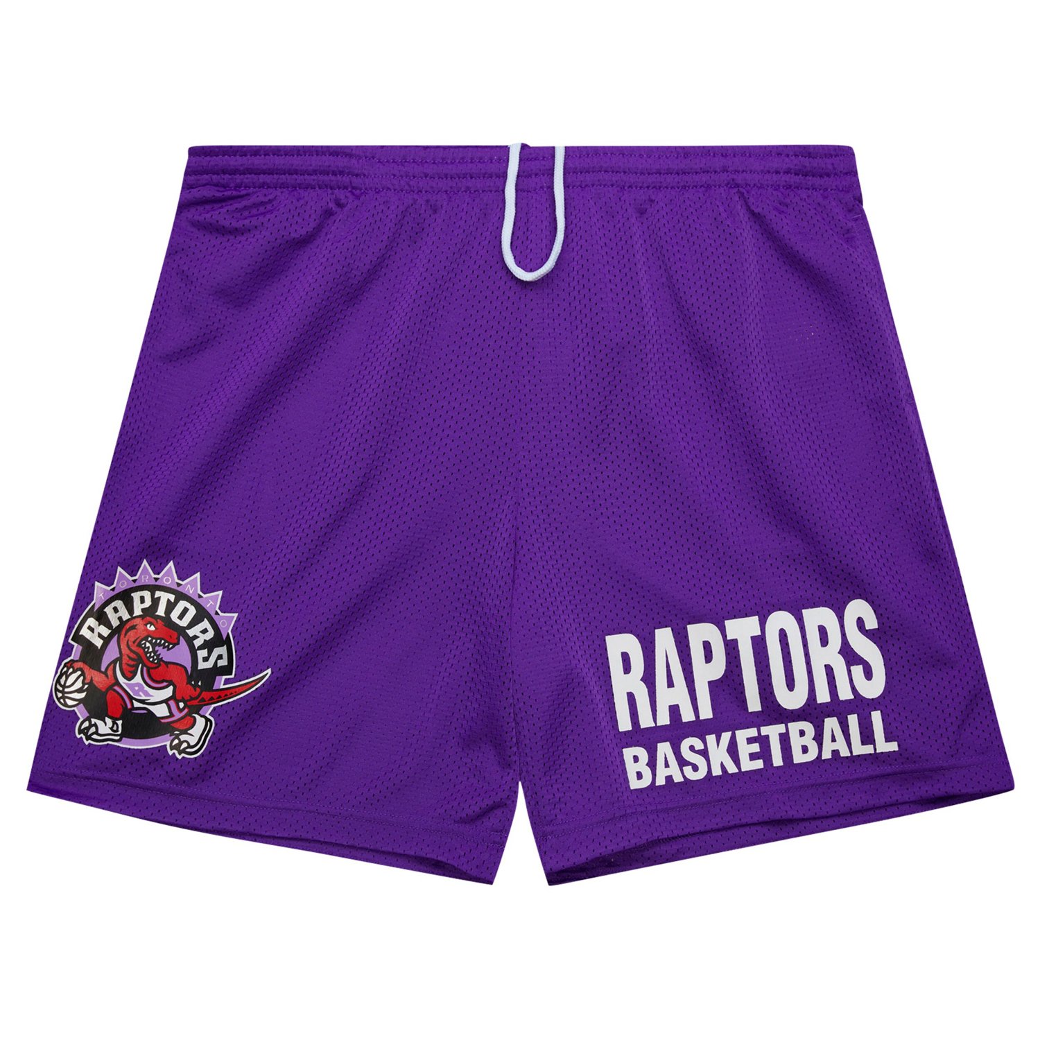 Mitchell  Ness Toronto Raptors Hardwood Classics Gameday Mesh Shorts - view number 2