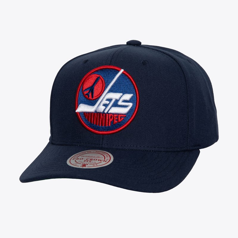 Mitchell Ness Winni… - image