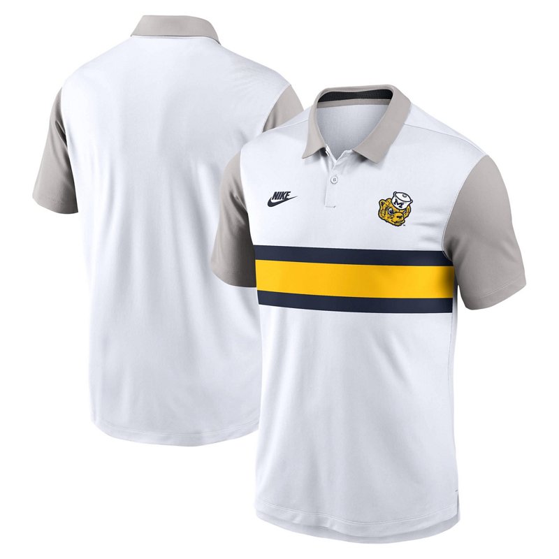 Nike Gray Michigan … - image