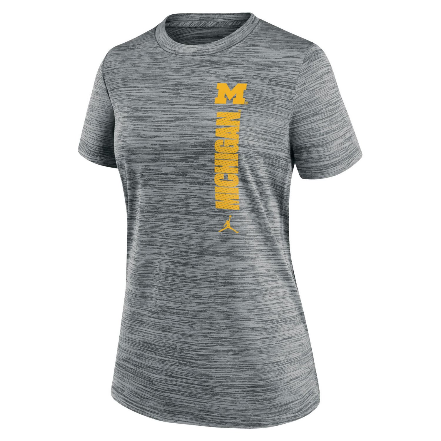 Nike Michigan Wolverines Velocity Performance T-Shirt