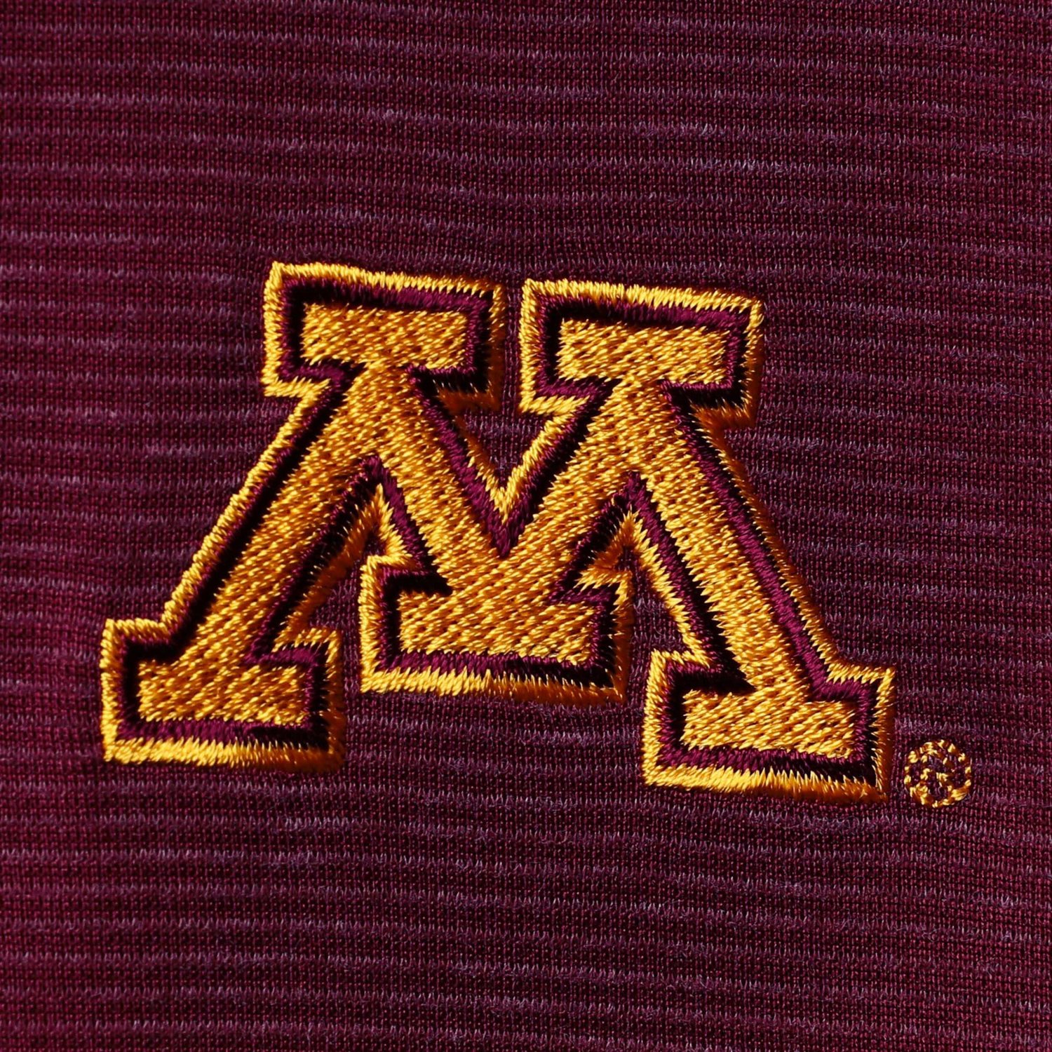 Nike Minnesota Golden Gophers 2020 Early Season Coaches Performance Polo