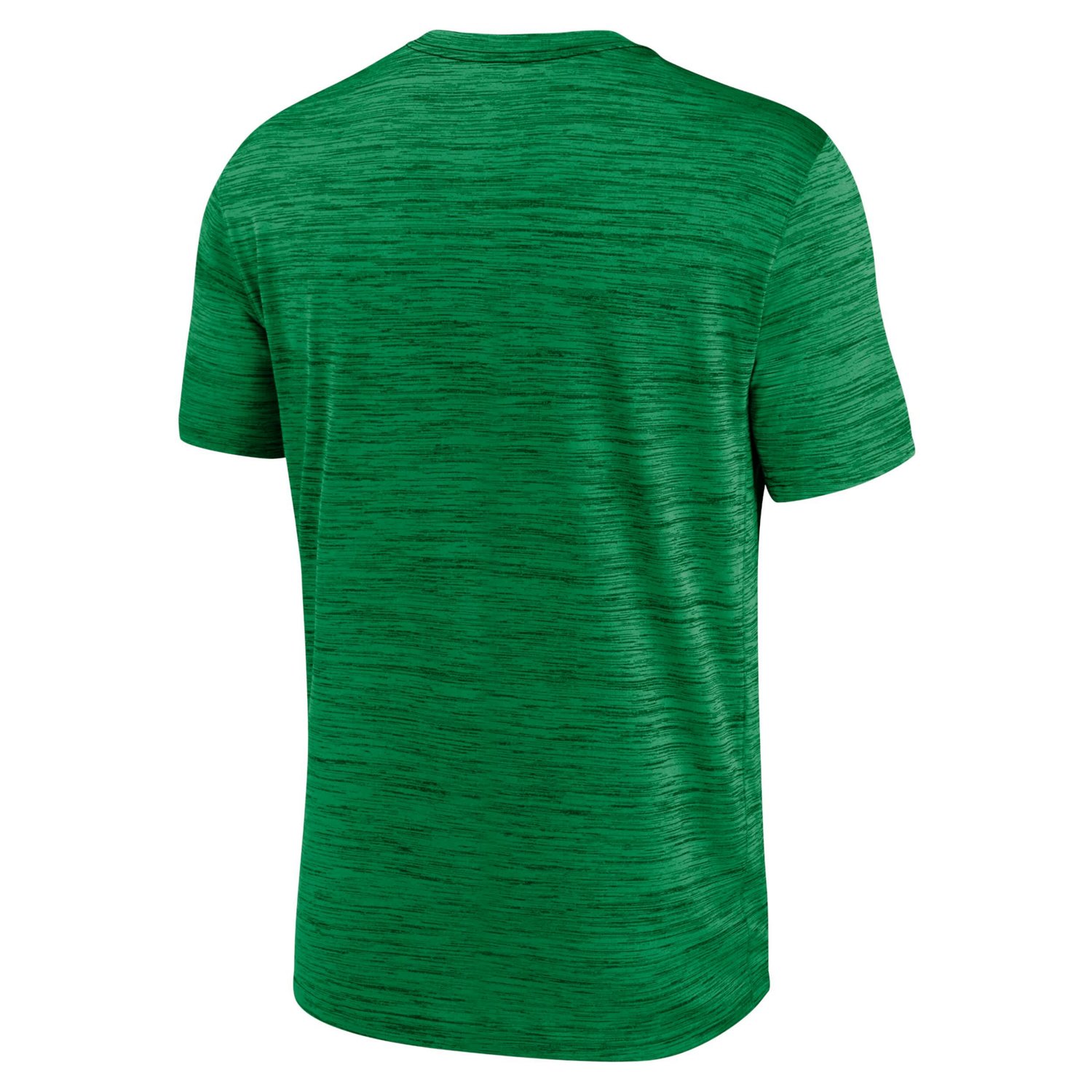 Nike Oregon Ducks Campus Center Block Velocity Performance T-Shirt - view number 3