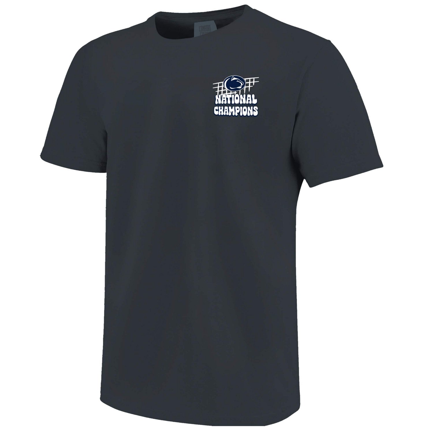 Penn State Nittany Lions 2024 NCAA Wo Volleyball National Champions Dig Comfort Colors T-Shirt - view number 2