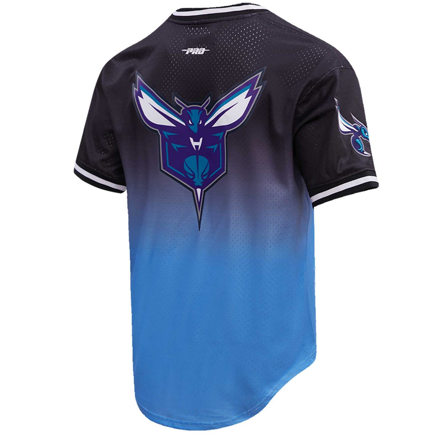 Post LaMelo Ball /Blue Charlotte Hornets Ombre Name  Number T-Shirt - view number 3