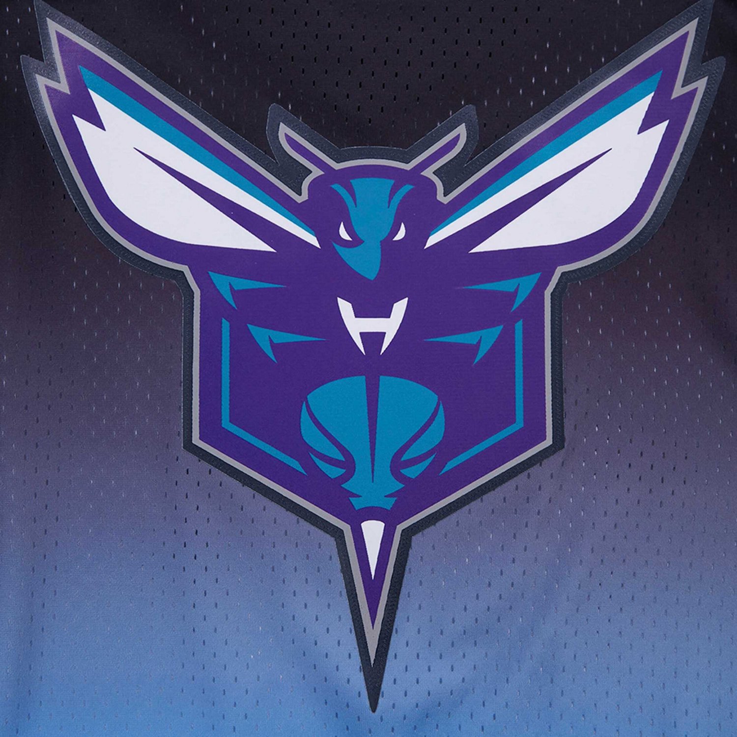 Post LaMelo Ball /Blue Charlotte Hornets Ombre Name  Number T-Shirt - view number 4