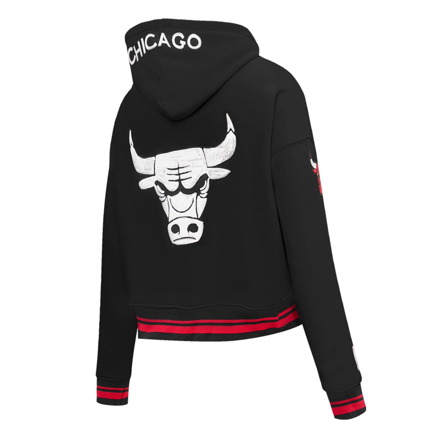 Pro Standard Chicago Bulls 2023/24 City Edition Cropped Pullover Hoodie                                                          - view number 3