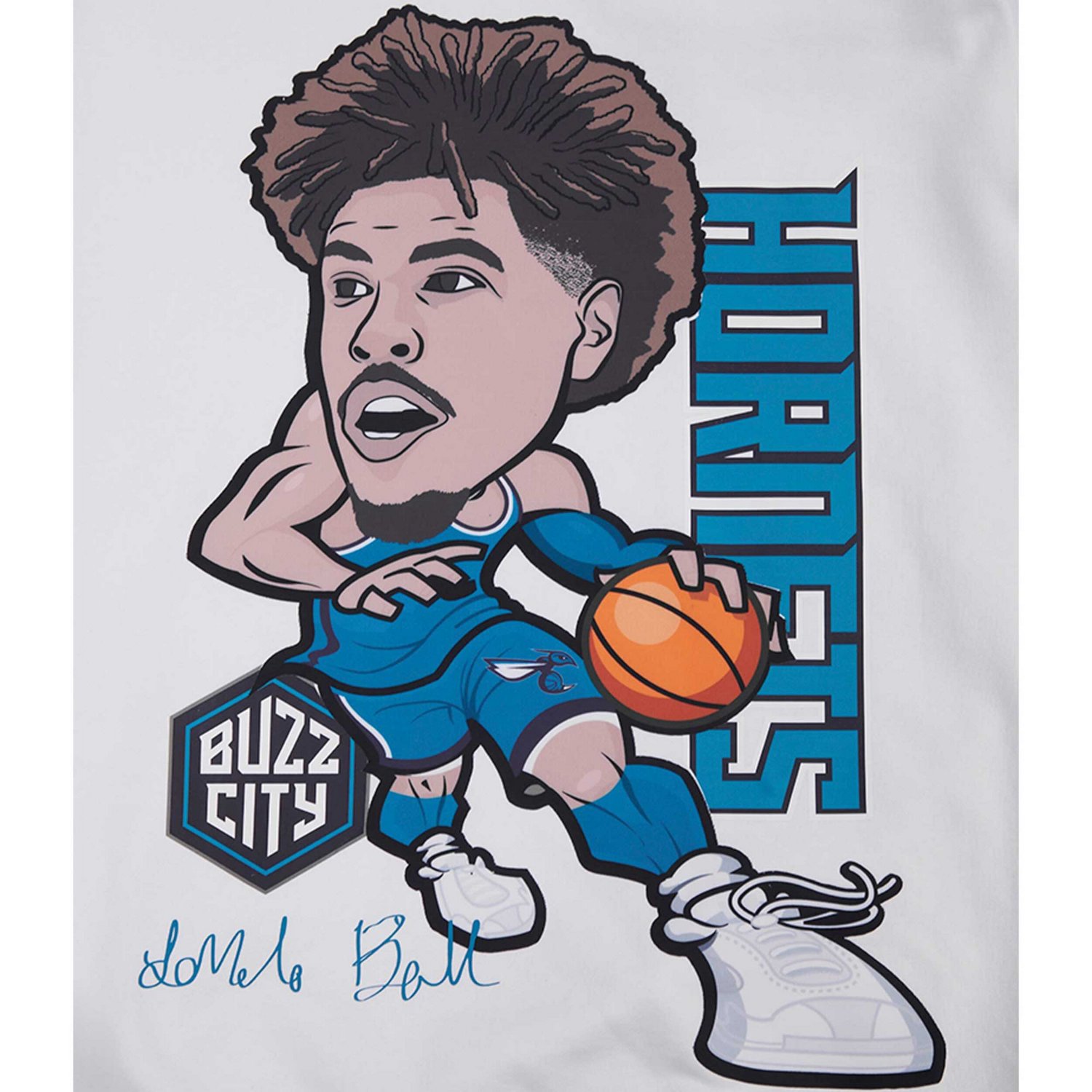 Pro Standard LaMelo Ball Charlotte Hornets Avatar Pullover Sweatshirt                                                            - view number 4