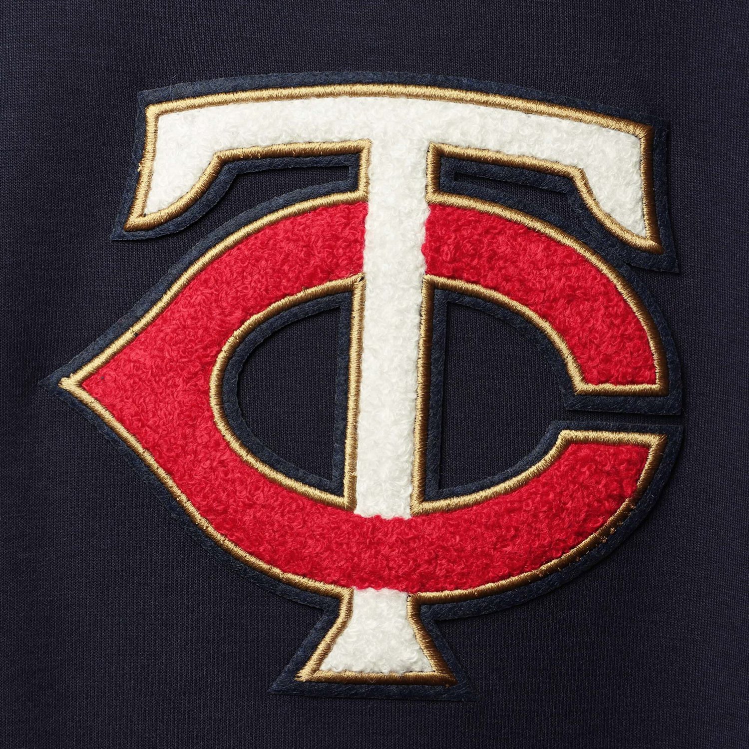 Pro Standard Minnesota Twins Team Logo Pullover Hoodie - view number 3