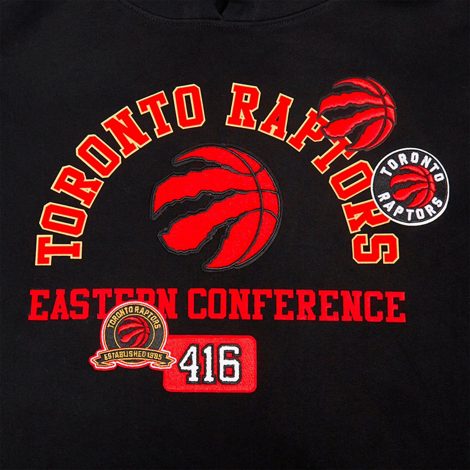 Pro Standard Toronto Raptors Area Code Pullover Hoodie                                                                           - view number 4
