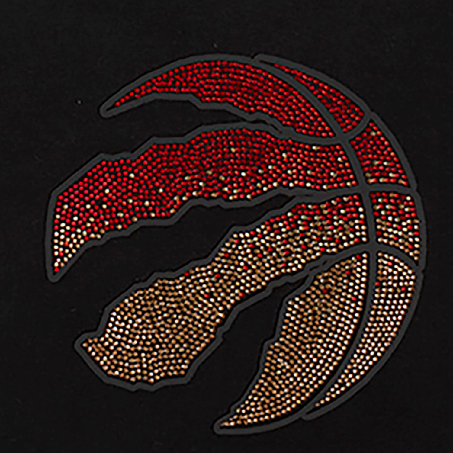 Pro Standard Toronto Raptors Jewels Boxy Cropped T-Shirt                                                                         - view number 4