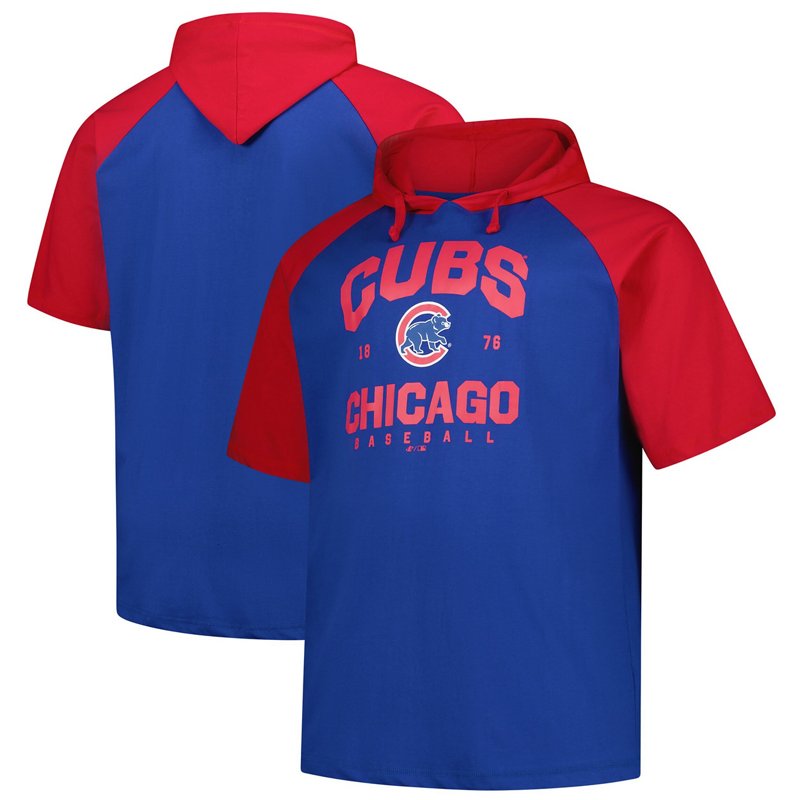 Profile Chicago Cub… - image