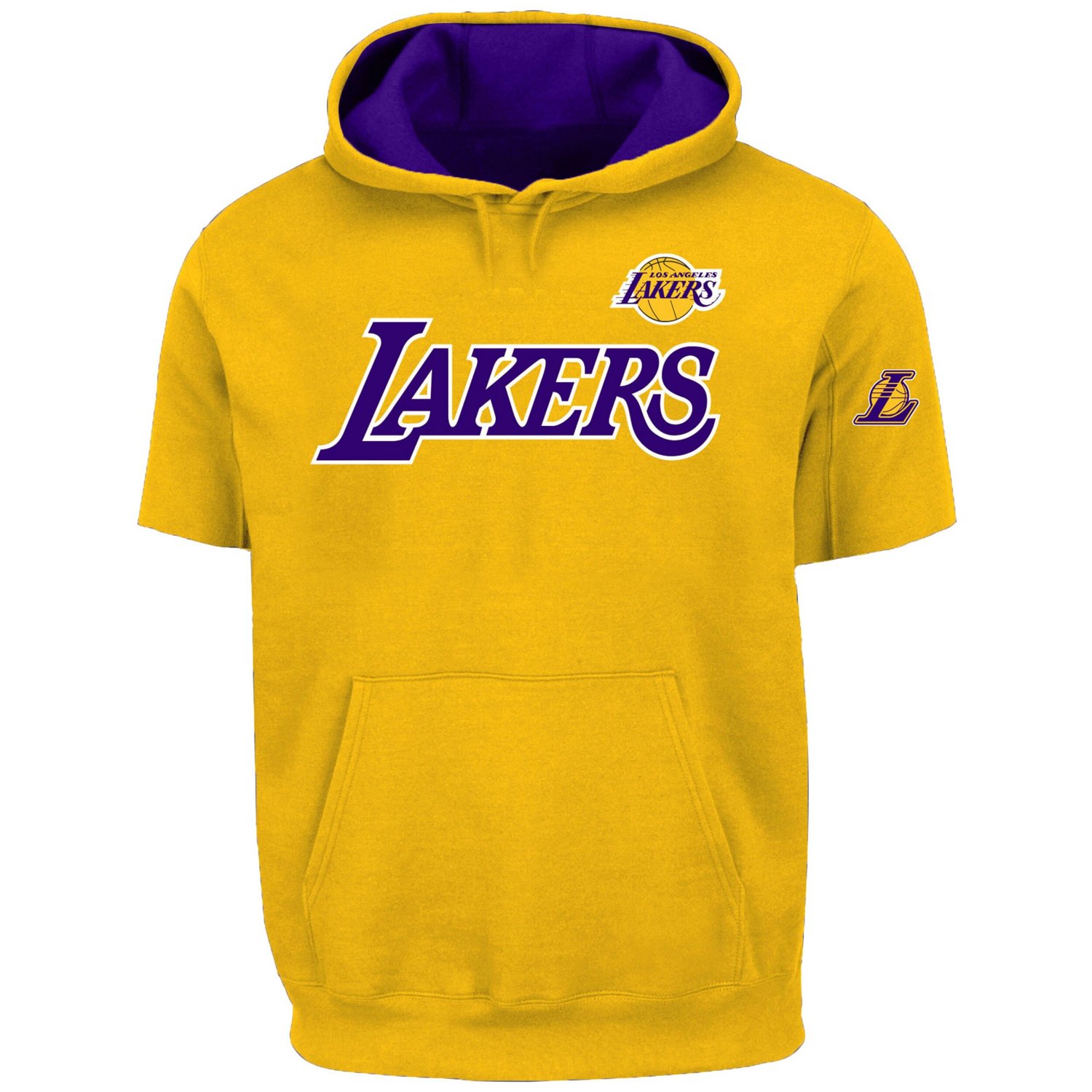 Profile LeBron James Los Angeles Lakers Big  Tall Pullover Short Sleeve Hoodie                                                   - view number 2