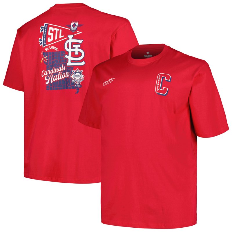 Profile St Louis Ca… - image