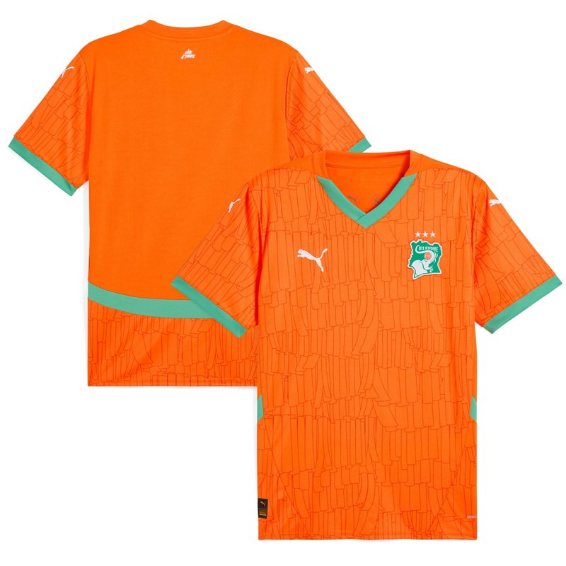 Puma Ivory Coast Na… - image