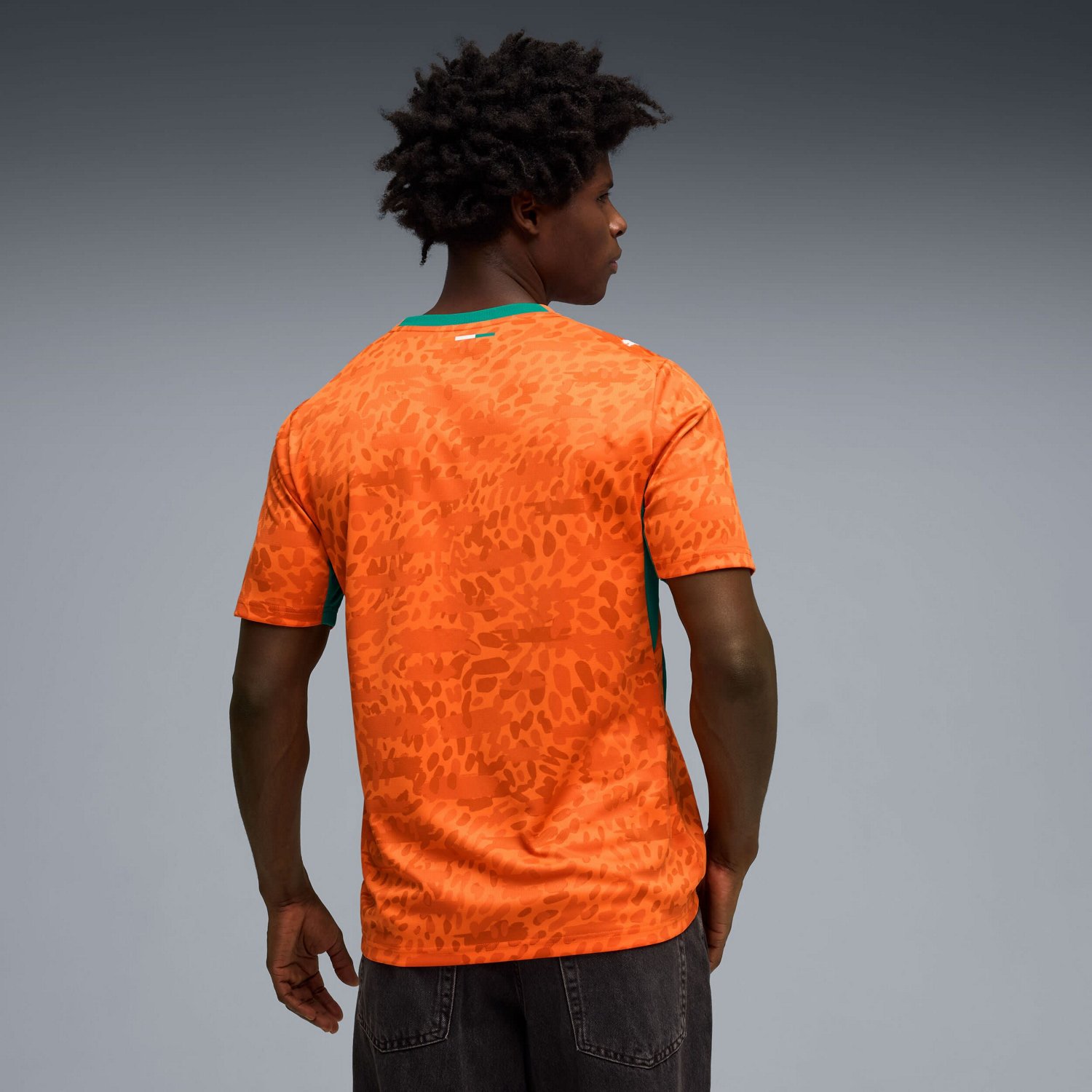 Puma Ivory Coast National Team 2026 Home Replica Jersey - view number 2