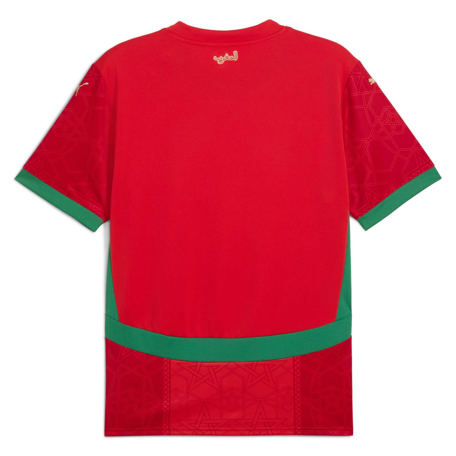 Puma Morocco National Team 2025 Home Replica Jersey