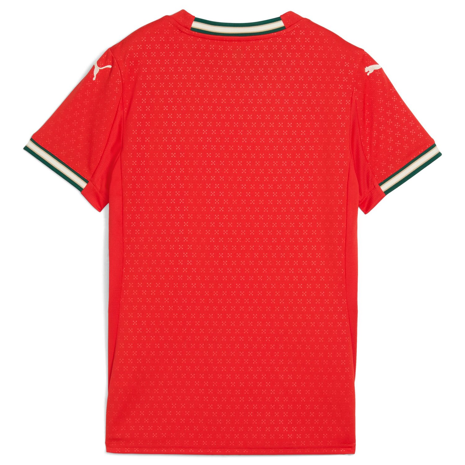 Puma Portugal National Team 2025 Home Replica Jersey - view number 3