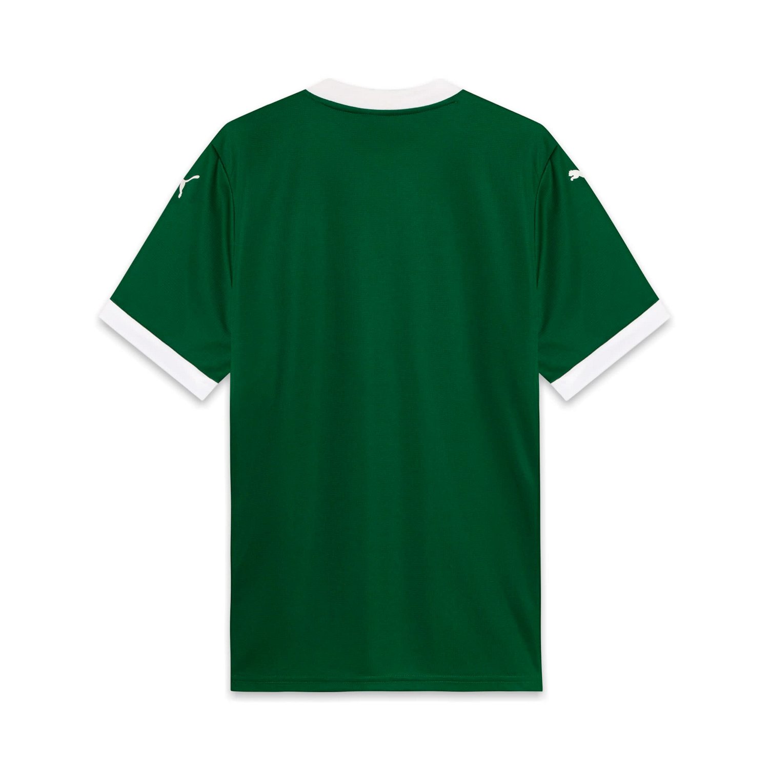 Puma SE Palmeiras 2025 26 Home Replica Jersey - view number 3