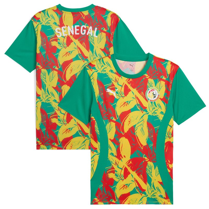 Puma Senegal Nation… - image