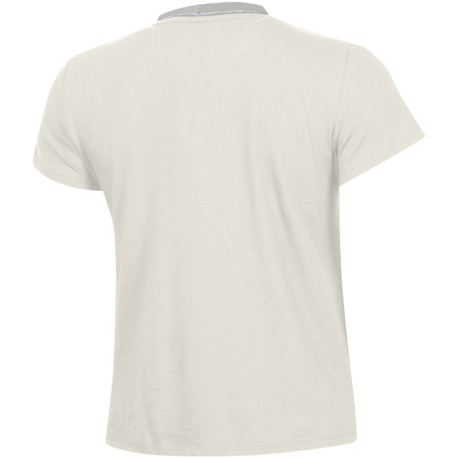 Under Armour South Carolina Gamecocks Iconic T-Shirt - view number 3