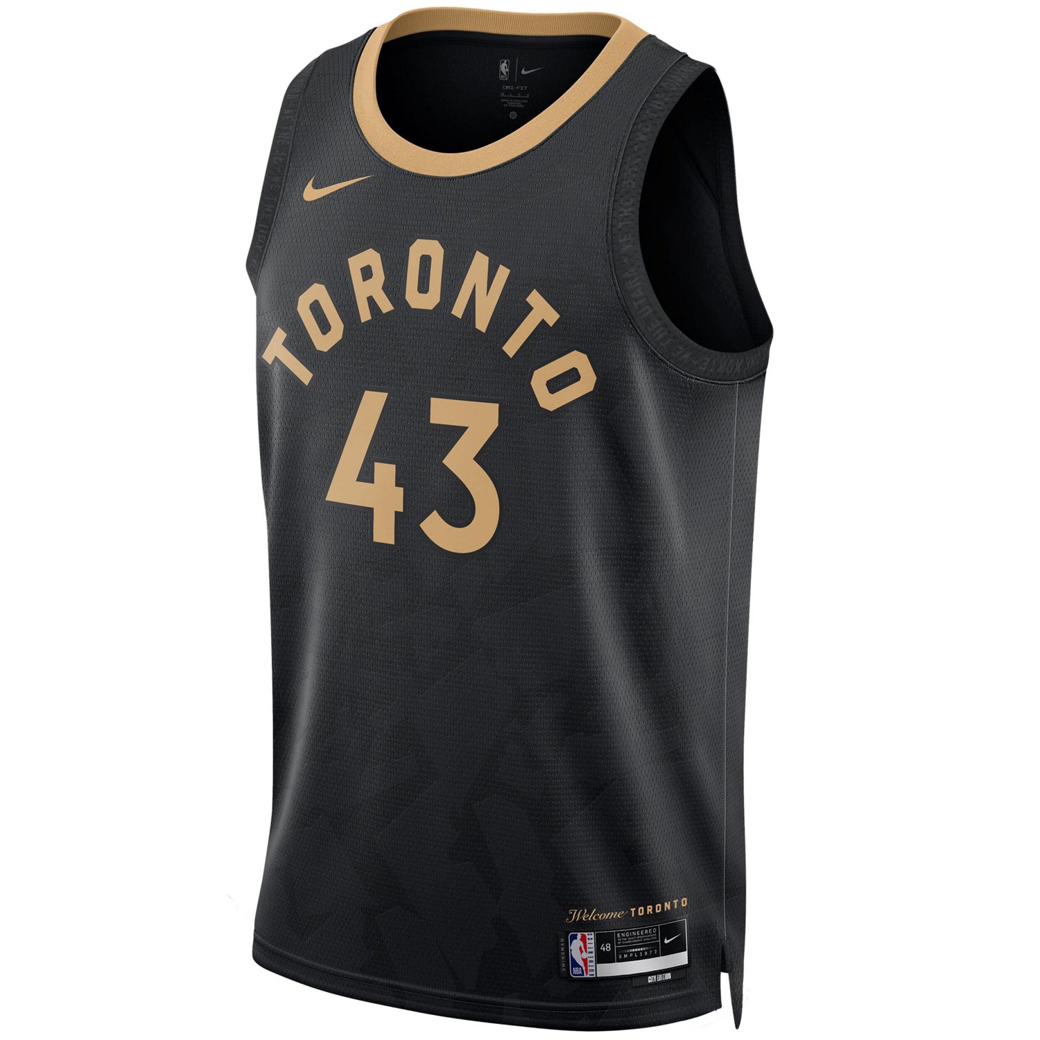 Unisex Nike Pascal Siakam Toronto Raptors 2022/23 Swingman Jersey - City Edition                                                 - view number 2