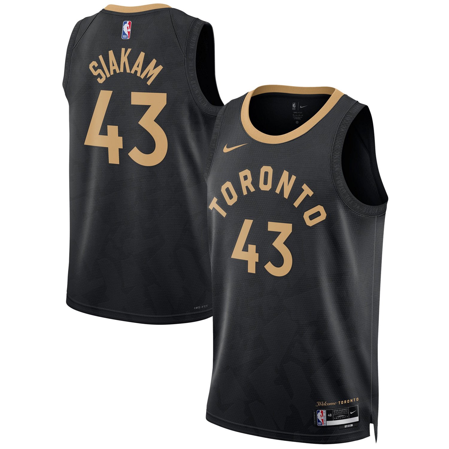 Unisex Nike Pascal Siakam Toronto Raptors 2022/23 Swingman Jersey - City Edition                                                 - view number 1