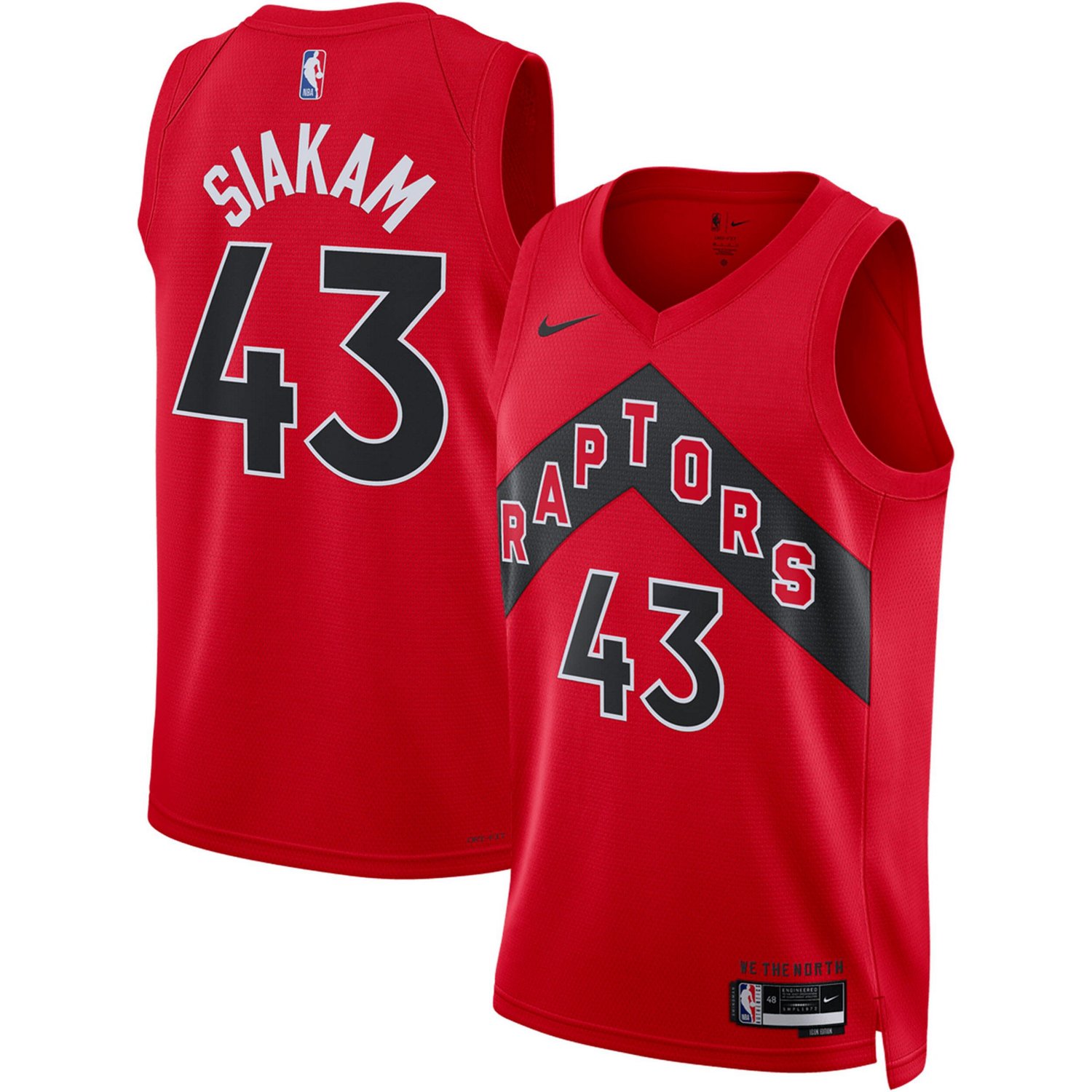 Unisex Nike Pascal Siakam Toronto Raptors Swingman Jersey - Icon Edition