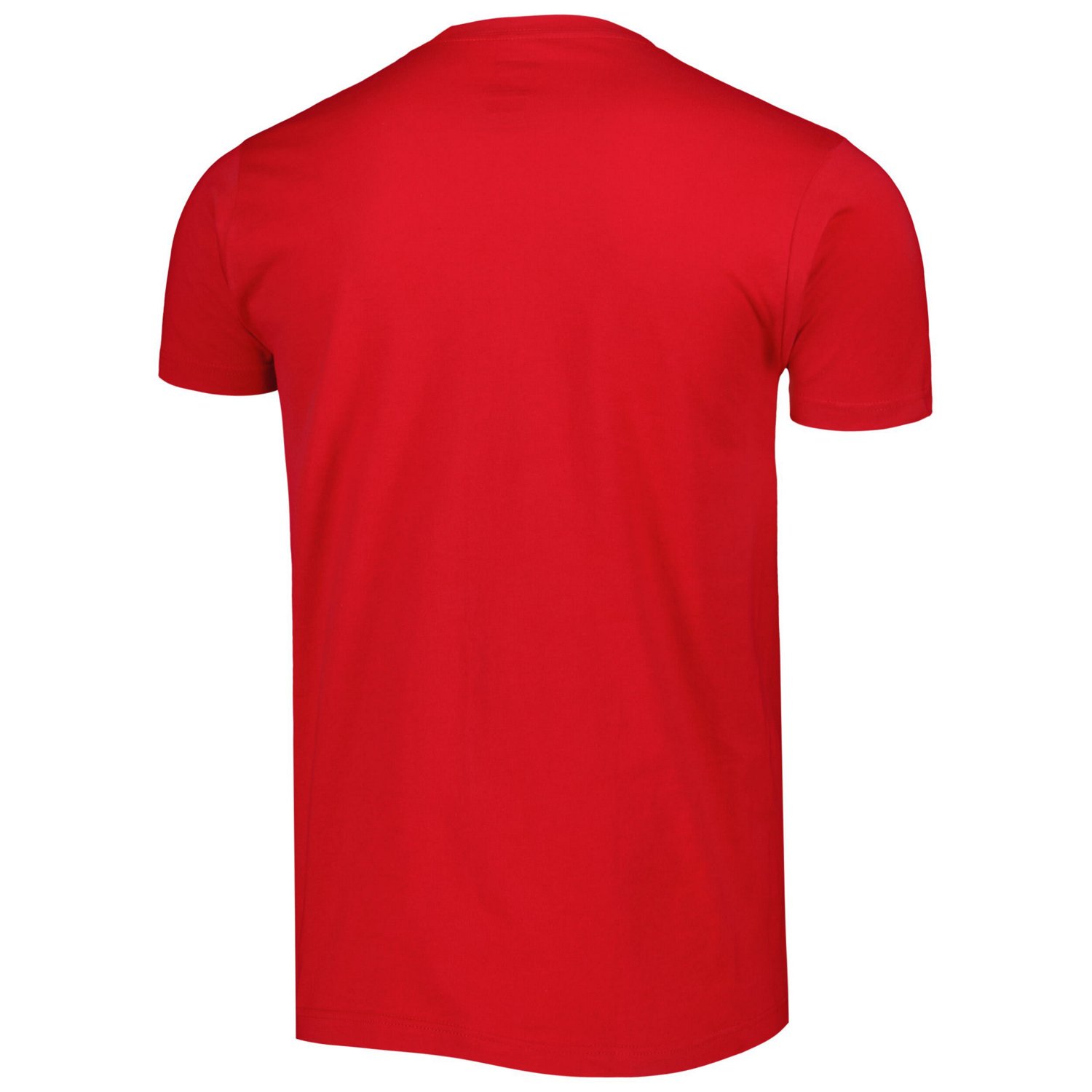 Unisex Stadium Essentials Toronto Raptors Element Logo Pop T-Shirt                                                               - view number 3