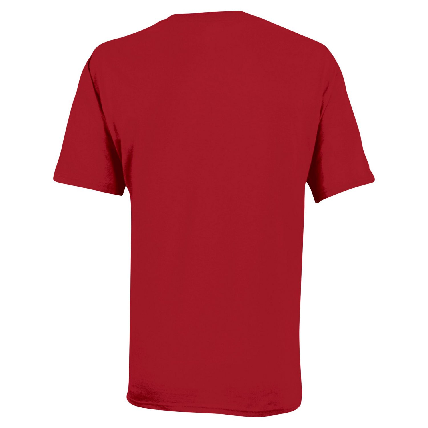 Youth Champion Arkansas Razorbacks Team Arch T-Shirt - view number 3