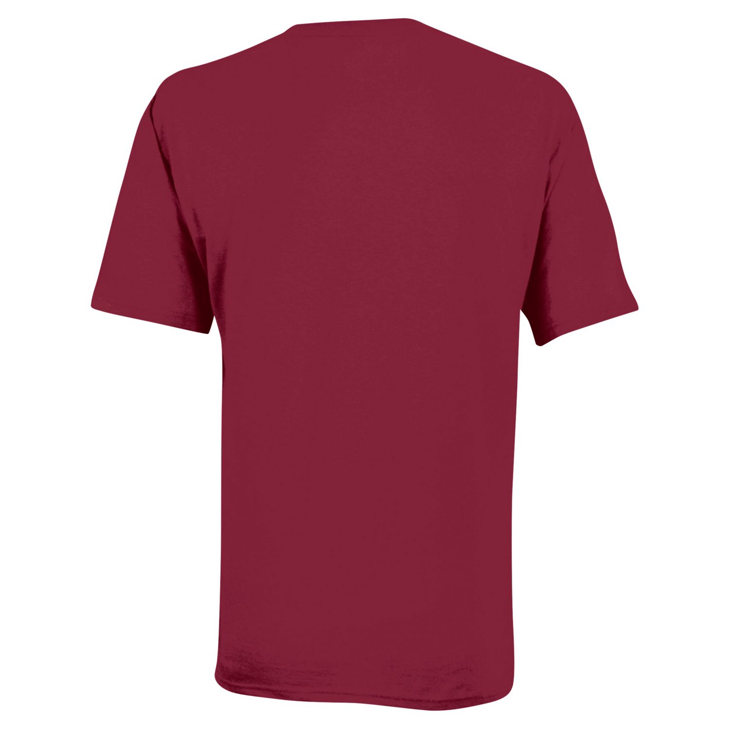 Youth Champion South Carolina Gamecocks Team Arch T-Shirt                                                                        - view number 3