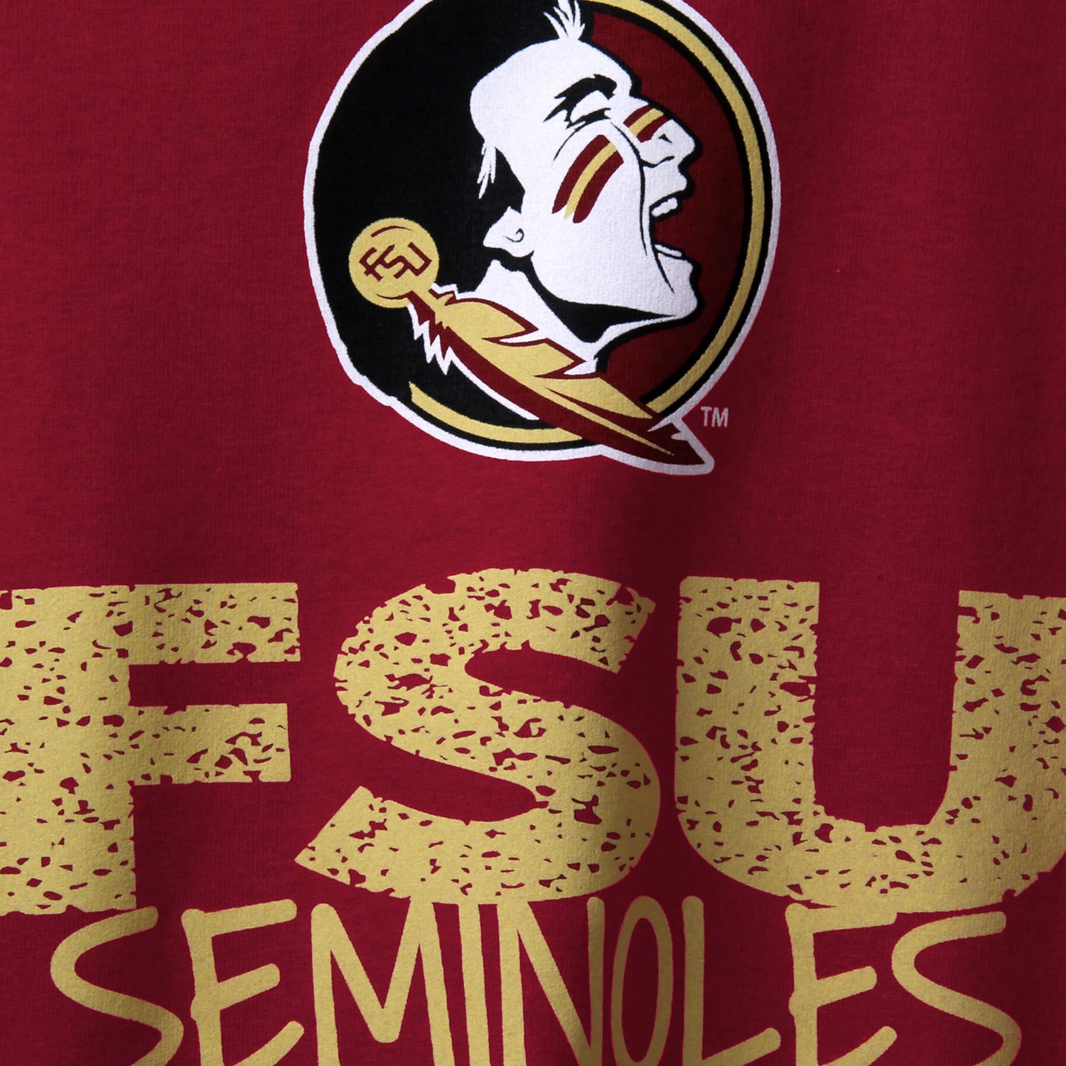 Youth Florida State Seminoles Crew Neck T-Shirt - view number 2